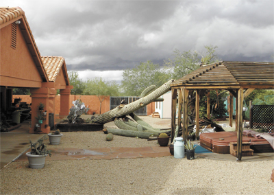storm damage
